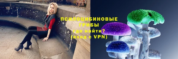 a pvp Алексеевка