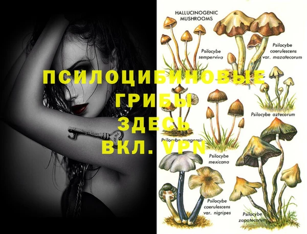 mdma Каменка