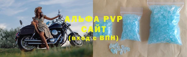 амф Гусев