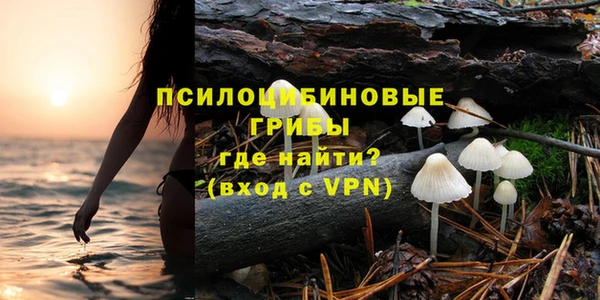 таблы Алзамай