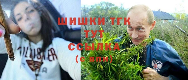 таблы Алзамай