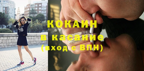 прущие грибы Абинск