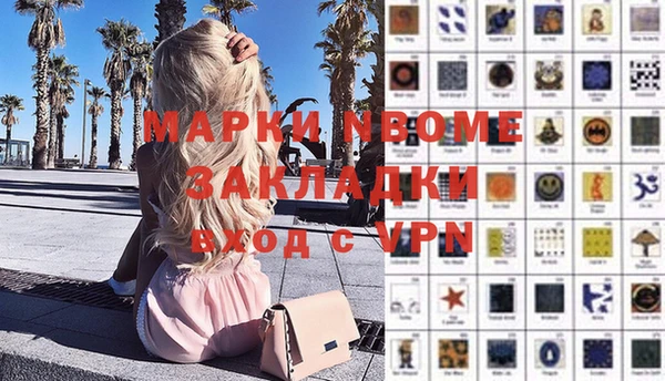 прущие грибы Абинск
