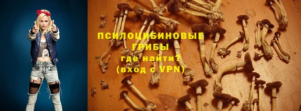 гидропоника Абаза