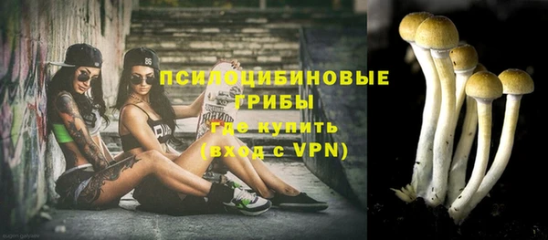 дживик Верхний Тагил