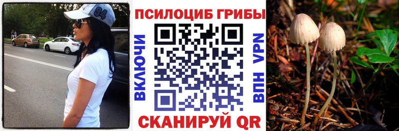 Галлюциногенные грибы Psilocybe  Новая Усмань 